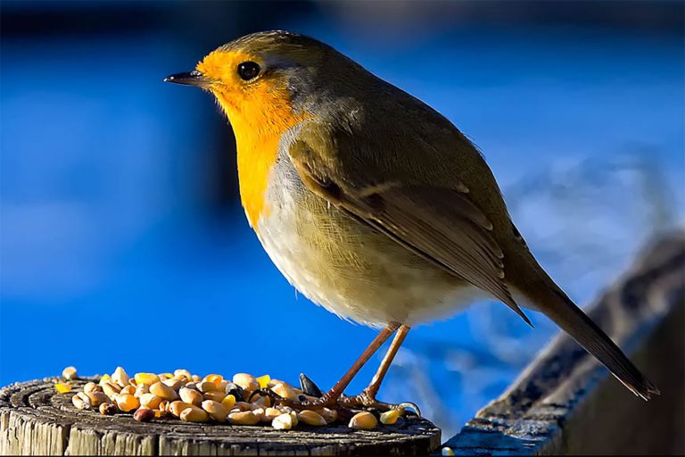 Winter Weather & Winter Light