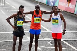 53397694938_28075b11ea_w